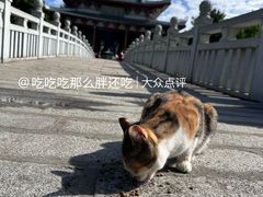 -莆田南少林寺