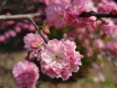 -大连熟食品交易中心