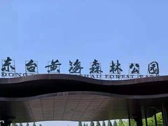 -黄海国家森林公园