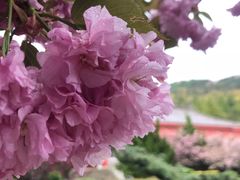 -石岛赤山风景区