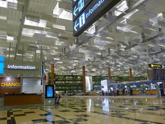 -新加坡航空公司(ION)