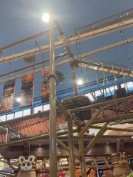 -卡通尼·Safari非洲探索乐园·生日会(金桥国际商业广场店)