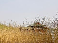 -济南大明湖景区