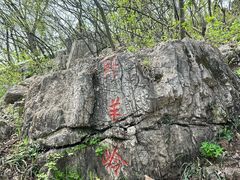 -南京老山国家森林公园