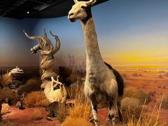 -陕西自然博物馆