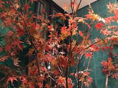 -新白鹿餐厅(爱琴海购物中心店)
