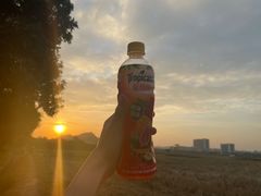 -光明小镇欢乐田园