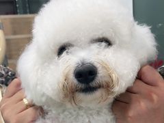-宠福鑫康馨动物医院·骨科·眼科