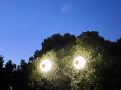 -合肥野生动物园