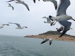 -海驴岛(荣成市)