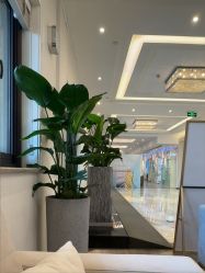 -上海首尔丽格医疗美容医院