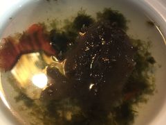 -九朝会昆曲·宴(望京店)