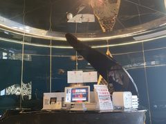 -Ting无边际江景酒店(重庆解放碑云端之眼店)