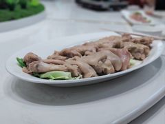 -丁老爷子苏香圆