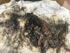 -御面斋精品面馆