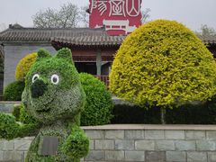 -阳台山自然风景区
