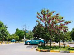 -鹏翔驾校(高新白沙路直营店)