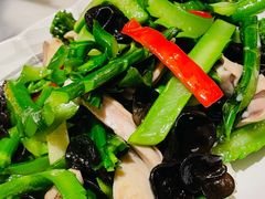 -山水茶艺馆·点心粤菜·30年老字号