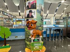 -大望路(地铁站)