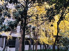-四川大学(望江校区)