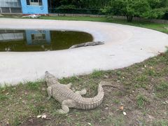 -秦皇岛野生动物园
