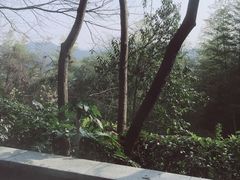 景点-天目湖涵田半山温泉