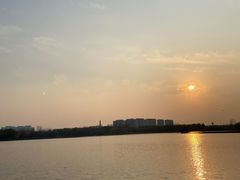 -大兴滨河森林公园