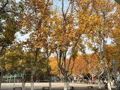 -安徽大学(龙河校区)