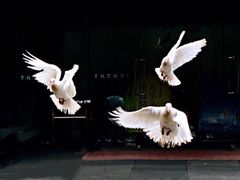 -东湖景区