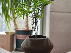 -沐春秋茶书院·茶室.茶馆.商务包房(知春路店)