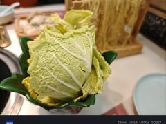 -洪氏嗨捞·猪肚鸡火锅(阳光天地店)