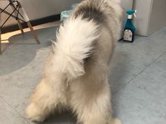 -汪说·狗咖(旺城大厦店)