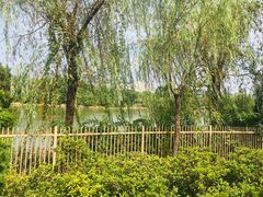 -艾溪湖湿地公园