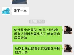 -宠物之家Pets Home 宠物寄养酒店