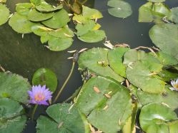 -姜美堂·蒸姜除湿の纤体美颜馆