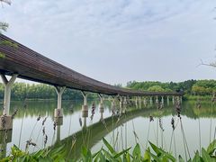 -昆山城市生态森林公园