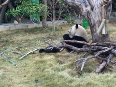 -灵玲国际马戏城