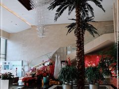 -常州环球恐龙城维景国际大酒店
