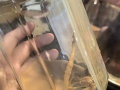 -果松木炭酸菜铜火锅·外婆参鸡汤