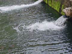 -环城公园