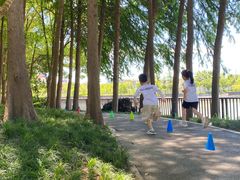 -健成运动中心·体适能跆拳道少儿格斗体考跳绳