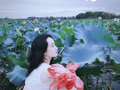 -苏州太湖国家湿地公园