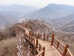 -大岭沟猕猴桃谷风景区