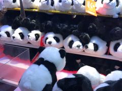 -汤姆熊欢乐世界(光启城店)