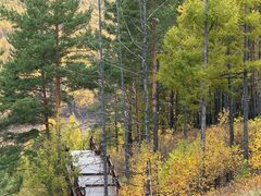 -莫尔道嘎国家森林公园