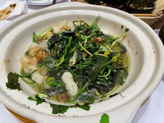 砂锅野菜-大张烙馍村(泉山店)