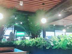 -东椰·海南椰子鸡火锅(朝阳门店)