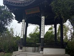 -鹅湖玫瑰文化园