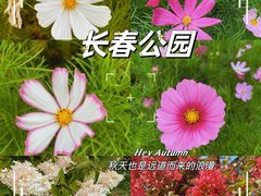 -长春公园(普阳街道)
