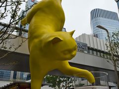 -深圳湾万象城(南山店)